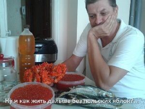 ���������� �����, ���� ������� ������, 42 ����, ������������ 