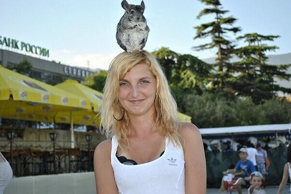  ,   , 24 ,     , c , 