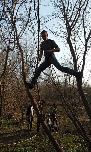  ,   , 33 ,   ,   , c 