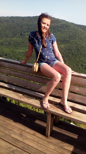  -,   , 38 ,   ,   , c 