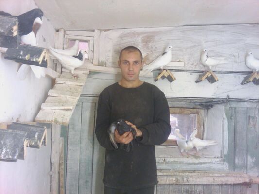  ,   , 37 ,     , c , 