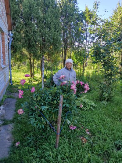  ,   Armen, 68 ,   ,   , c , 
