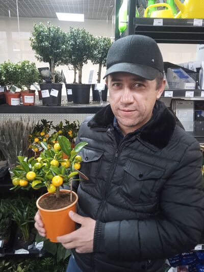  ,   , 39 ,   ,   