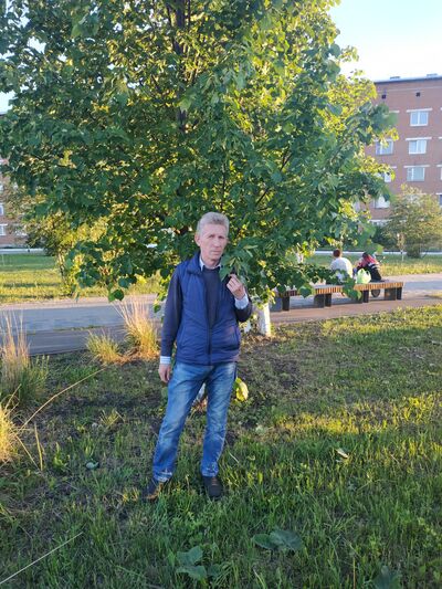  ,   , 61 ,   ,   , c , 