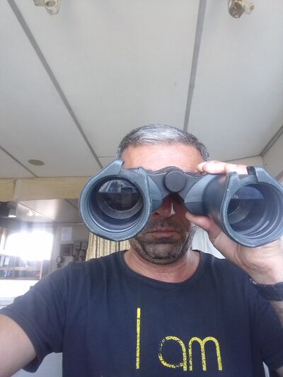  ,   Perviz, 45 ,     , c 