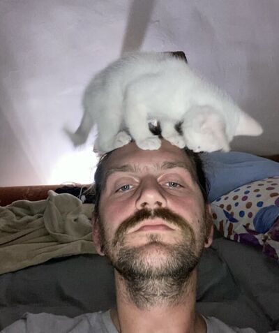  ,   , 33 ,   ,   