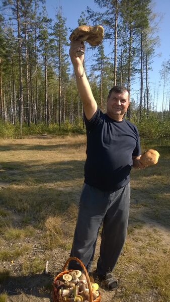  -,   Vladimir, 61 ,     , c 