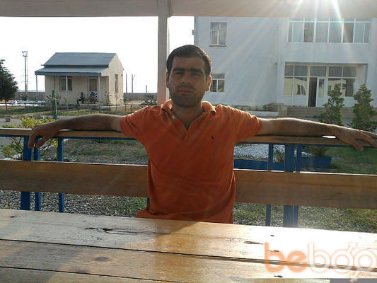  ,   Gepard, 40 ,   