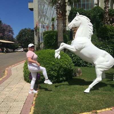  ,   , 53 ,   c 