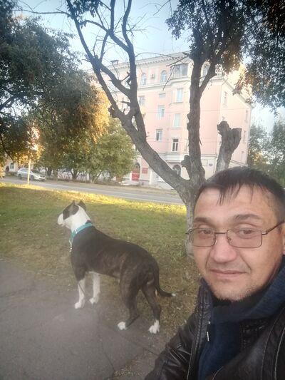  --,   , 43 ,   ,   