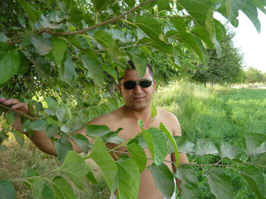  ,   , 50 ,   