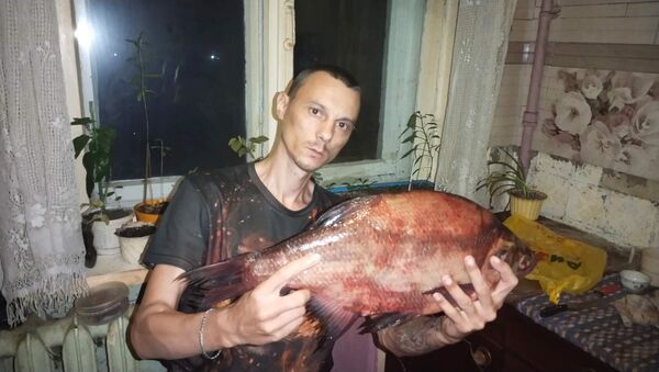 ,   , 43 ,   ,   , 
