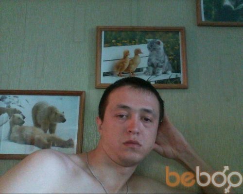  3164283  , 38 ,    -