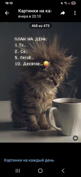  -,   Mdujv, 41 ,     , c , 