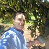   wael