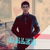   Daler