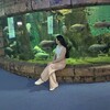 ,  , 26