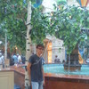   azamat