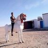   Salim