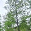  ,  , 19