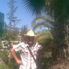   Mark