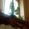   Jamshid