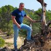  Calugareni,  Henry, 55