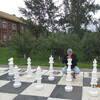 ,  , 51