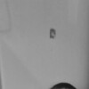   Alesher
