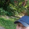  ,  , 31