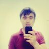   Ansor