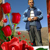   vahid