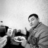   biotle_