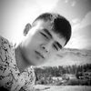   Donier