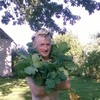   aleks