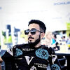   Elsever
