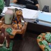   Sardor