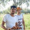  ,  , 26