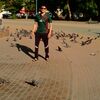   Dima