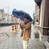  ,  , 53
